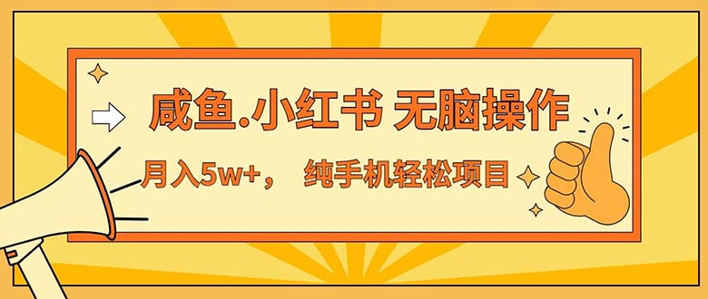 （11524期）2024最赚钱的项目，咸鱼，小红书无脑操作，每单利润500+，轻松月入5万+…-网创资源总站