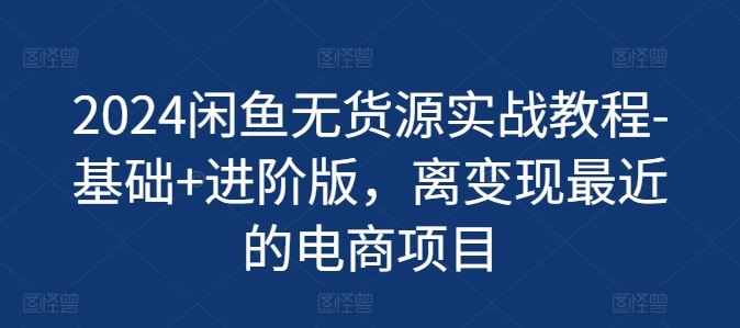 2024闲鱼无货源实战教程-基础+进阶版，离变现最近的电商项目-网创资源总站