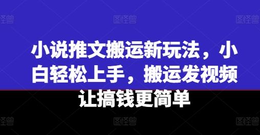 小说推文搬运新玩法，小白轻松上手，搬运发视频让搞钱更简单-网创资源总站