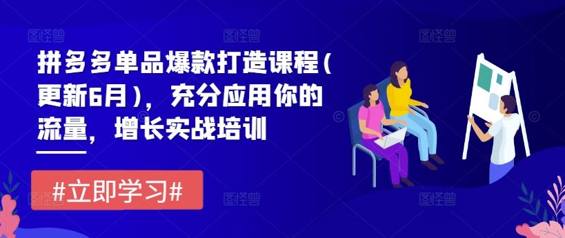 拼多多单品爆款打造课程(更新6月)，充分应用你的流量，增长实战培训-网创资源总站