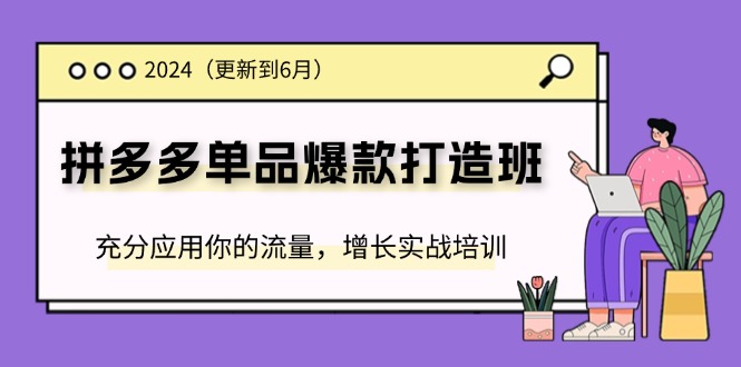 （11556期）2024拼多多-单品爆款打造班(更新6月)，充分应用你的流量，增长实战培训-网创资源总站