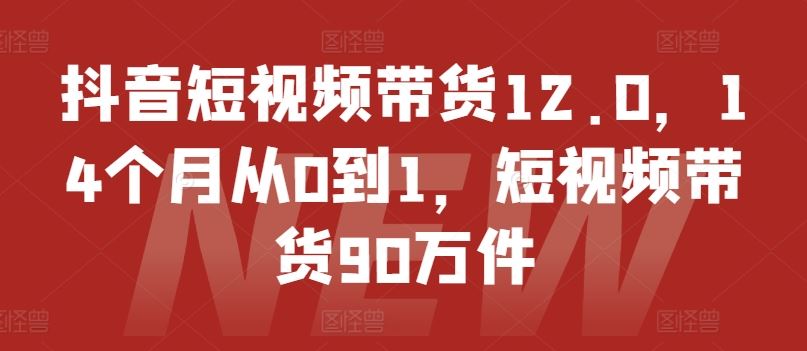 抖音短视频带货12.0，14个月从0到1，短视频带货90万件-网创资源总站