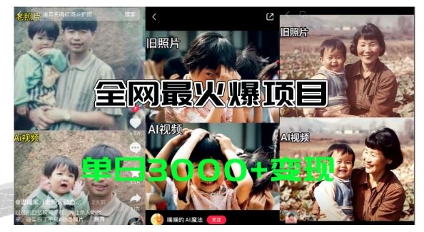 全网爆火的AI让老照片动起来教程，蹭热点日赚3k+，内含免费工具一键可生成【揭秘】-网创资源总站