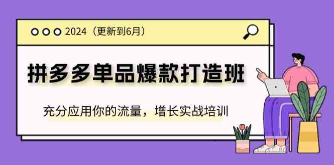 2024拼多多单品爆款打造班，充分应用你的流量，增长实战培训(更新6月)-网创资源总站