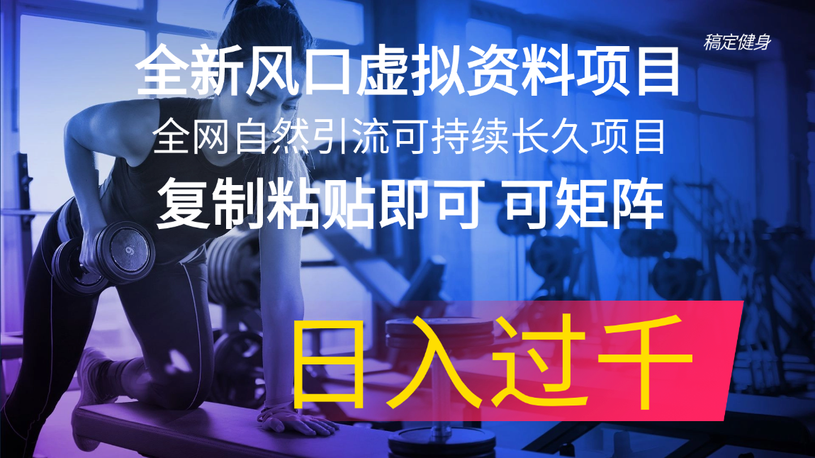（11587期）全新风口虚拟资料项目 全网自然引流可持续长久项目 复制粘贴即可可矩阵…-网创资源总站
