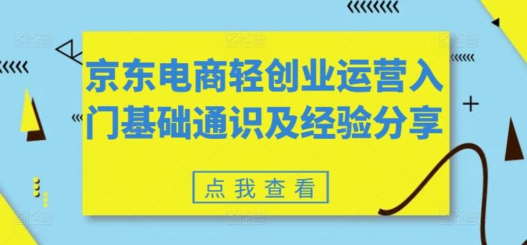 京东电商轻创业运营入门基础通识及经验分享-网创资源总站