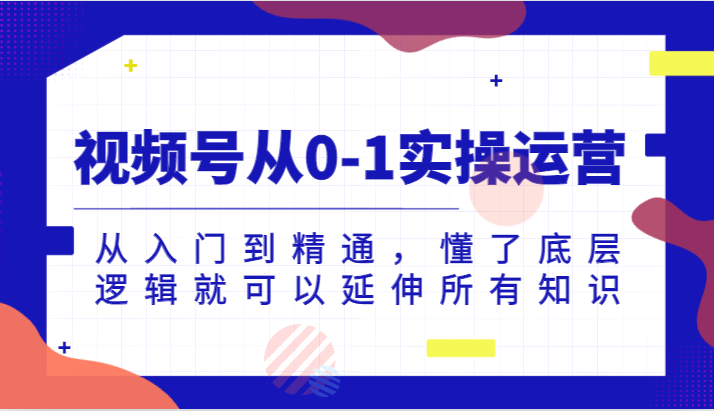 视频号从0-1实操运营，从入门到精通，懂了底层逻辑就可以延伸所有知识（更新2024.7）-网创资源总站