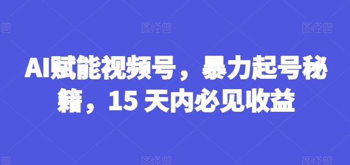 AI赋能视频号，暴力起号秘籍，15 天内必见收益【揭秘】-网创资源总站