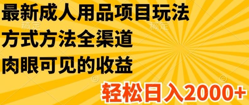 最新成人用品项目玩法，方式方法全渠道，轻松日入2K+【揭秘】-网创资源总站