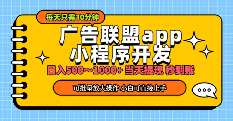 （11645期）小程序开发 广告赚钱 日入500~1000+ 小白轻松上手！-网创资源总站