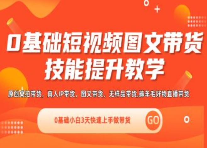 0基础短视频图文带货实操技能提升教学(直播课+视频课),0基础小白3天快速上手做带货-网创资源总站