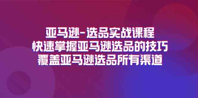 亚马逊选品实战课程，快速掌握亚马逊选品的技巧，覆盖亚马逊选品所有渠道-网创资源总站