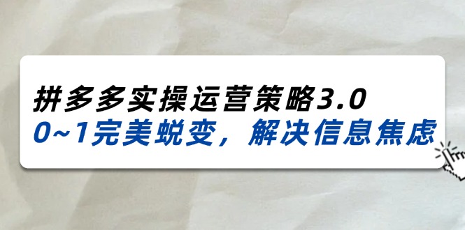 （11658期）2024_2025拼多多实操运营策略3.0，0~1完美蜕变，解决信息焦虑（38节）-网创资源总站