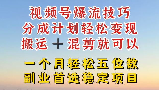 视频号爆流技巧，分成计划轻松变现，搬运 +混剪就可以，一个月轻松五位数稳定项目【揭秘】-网创资源总站