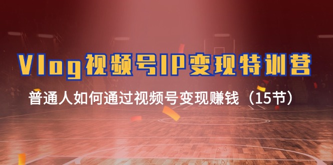 Vlog视频号IP变现特训营，普通人如何通过视频号变现赚钱（15节）-网创资源总站