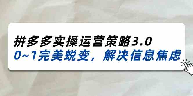 2024-2025拼多多实操运营策略3.0，0~1完美蜕变，解决信息焦虑（38节）-网创资源总站