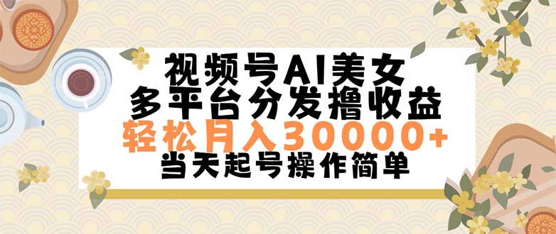 （11684期）视频号AI美女，轻松月入30000+,操作简单轻松上手-网创资源总站