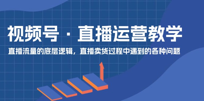 （11687期）视频号 直播运营教学：直播流量的底层逻辑，直播卖货过程中遇到的各种问题-网创资源总站