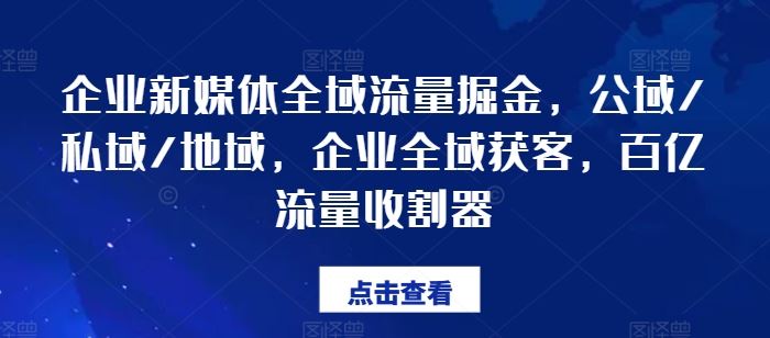 企业新媒体全域流量掘金，公域/私域/地域，企业全域获客，百亿流量收割器-网创资源总站