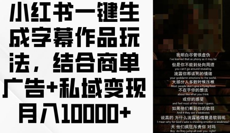 小红书一键生成字幕作品玩法，结合商单广告+私域变现月入1w+【揭秘】-网创资源总站