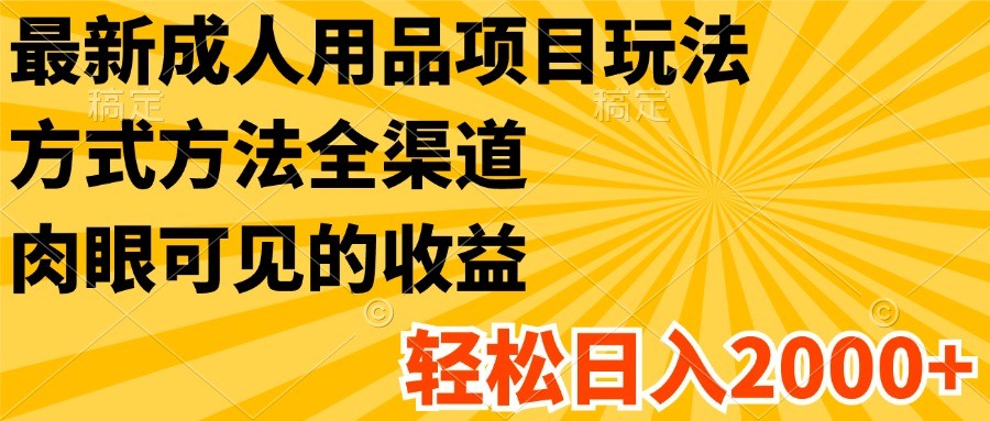 最新成人用品项目玩法，方式方法全渠道，肉眼可见的收益，轻松日入2000+-网创资源总站