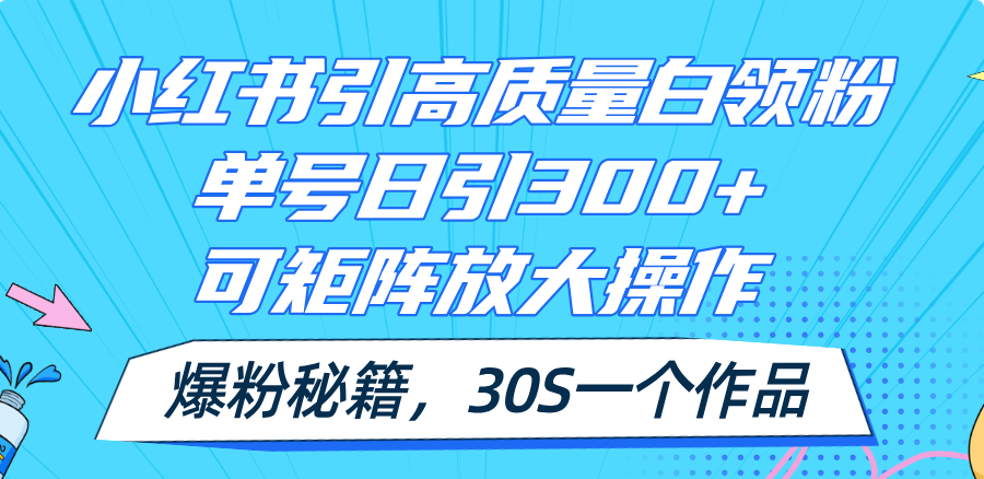 （11692期）小红书引高质量白领粉，单号日引300+，可放大操作，爆粉秘籍！30s一个作品-网创资源总站