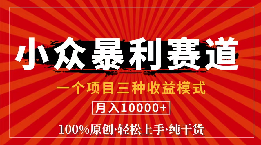 （11695期）视频号【中老年粉深信不疑】小众赛道 100%原创 手把手教学 新号3天收益…-网创资源总站