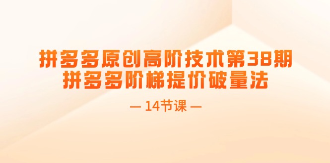 （11704期）拼多多原创高阶技术第38期，拼多多阶梯提价破量法（14节课）-网创资源总站
