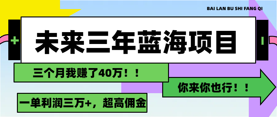 （11716期）未来三年，蓝海赛道，月入3万+-网创资源总站