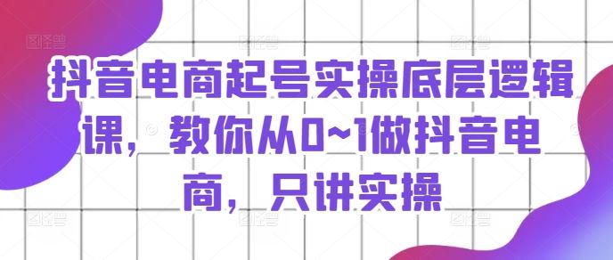 抖音电商起号实操底层逻辑课，教你从0~1做抖音电商，只讲实操-网创资源总站