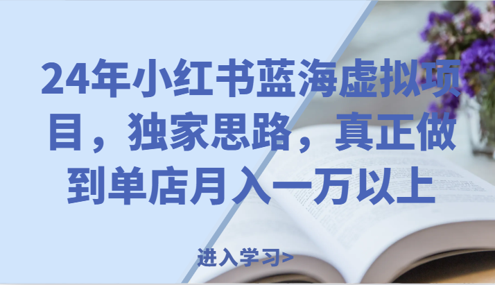 24年小红书蓝海虚拟项目，独家思路，真正做到单店月入一万以上。-网创资源总站