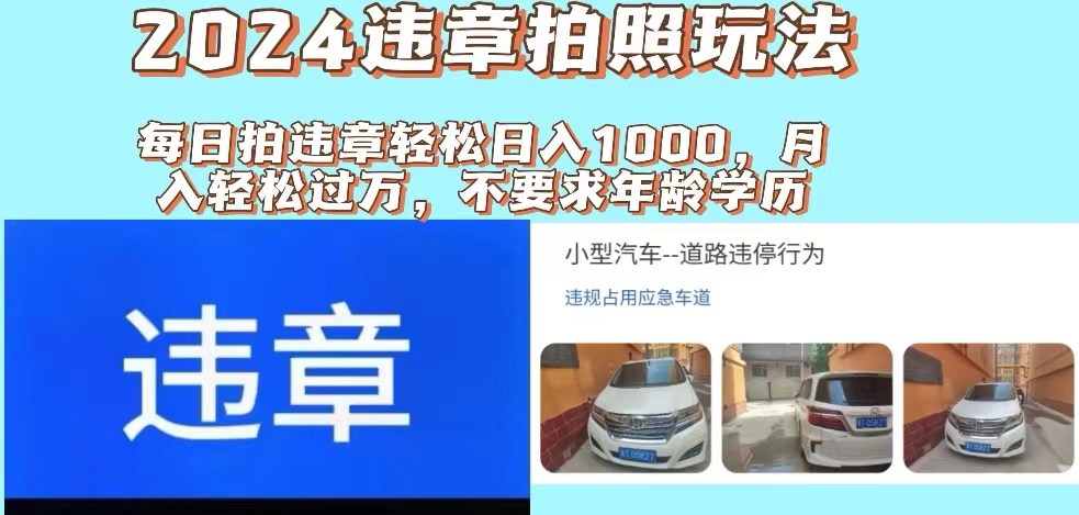（11743期）2024违章拍照新玩法，推广躺赚+拍照赚钱双模式，日入1000+-网创资源总站