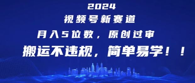 2024视频号新赛道，月入5位数+，原创过审，搬运不违规，简单易学【揭秘】-网创资源总站