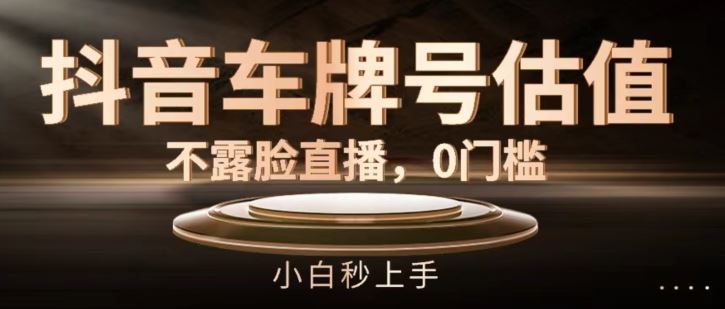 抖音车牌号估值，不露脸直播，0门槛，小白秒上手【揭秘】-网创资源总站