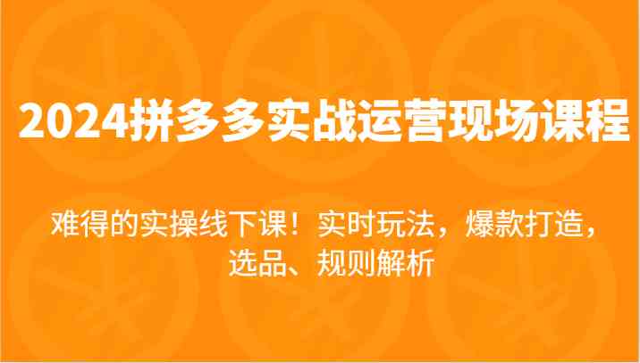 2024拼多多实战运营现场课，实时玩法，爆款打造，选品、规则解析，难得的实操线下课！-网创资源总站