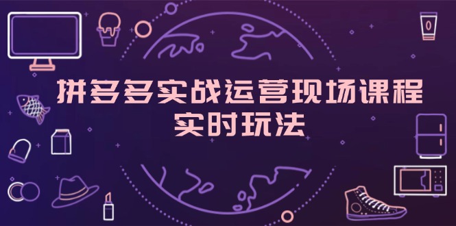 （11759期）拼多多实战运营现场课程，实时玩法，爆款打造，选品、规则解析-网创资源总站