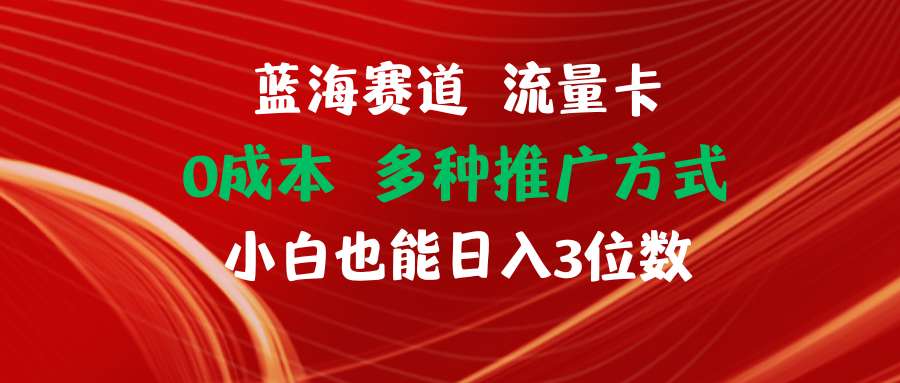 （11768期）蓝海赛道 流量卡 0成本 小白也能日入三位数-网创资源总站