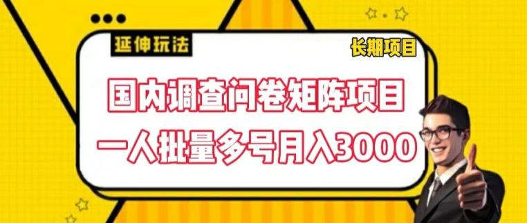 国内调查问卷矩阵项目，一人批量多号月入3000【揭秘】-网创资源总站