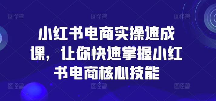小红书电商实操速成课，让你快速掌握小红书电商核心技能-网创资源总站