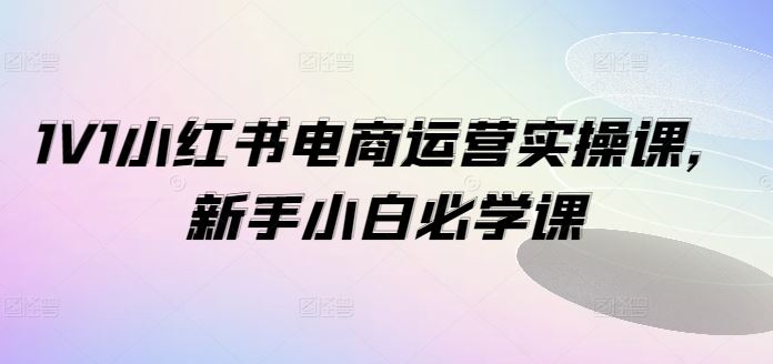 1V1小红书电商运营实操课，新手小白必学课-网创资源总站