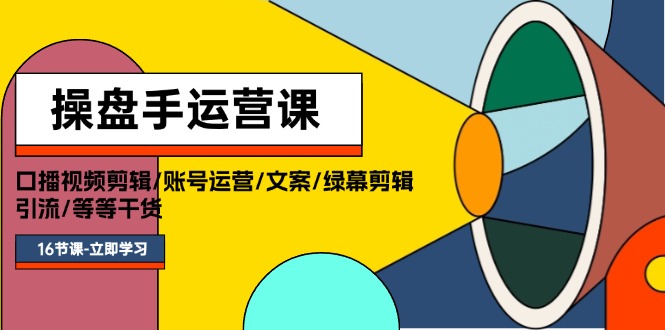 （11803期）操盘手运营课程：口播视频剪辑/账号运营/文案/绿幕剪辑/引流/干货/16节-网创资源总站