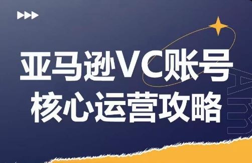 亚马逊VC账号核心玩法解析，实战经验拆解产品模块运营技巧，提升店铺GMV，有效提升运营利润-网创资源总站