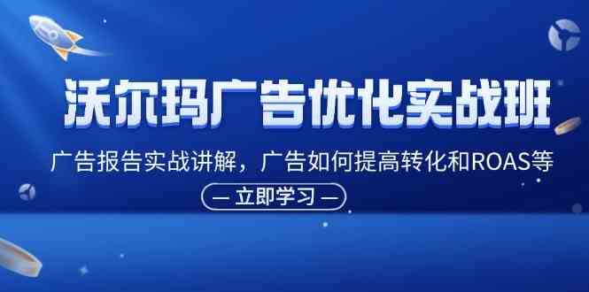沃尔玛广告优化实战班，广告报告实战讲解，广告如何提高转化和ROAS等-网创资源总站