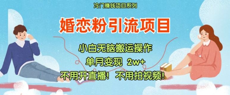 小红书婚恋粉引流，不用开直播，不用拍视频，不用做交付【揭秘】-网创资源总站