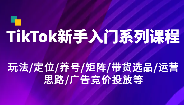 TikTok新手入门系列课程，玩法/定位/养号/矩阵/带货选品/运营思路/广告竞价投放等-网创资源总站