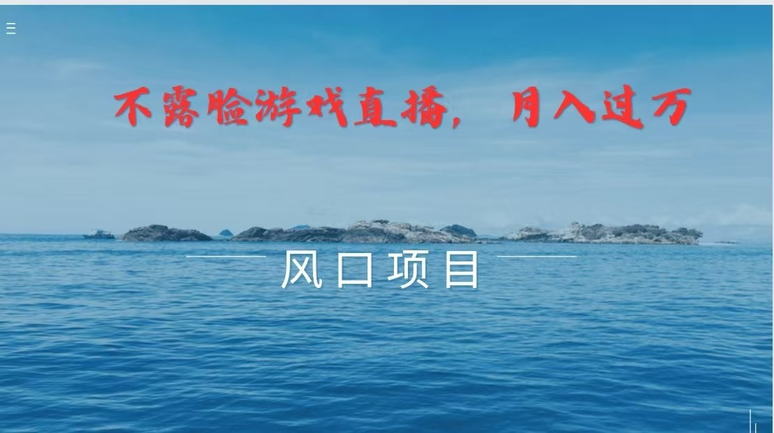 不露脸不出镜，玩转找茬游戏，普通人实现月入过万的好项目-网创资源总站