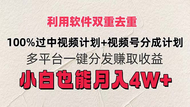 （11862期）利用软件双重去重，100%过中视频+视频号分成计划小白也可以月入4W+-网创资源总站
