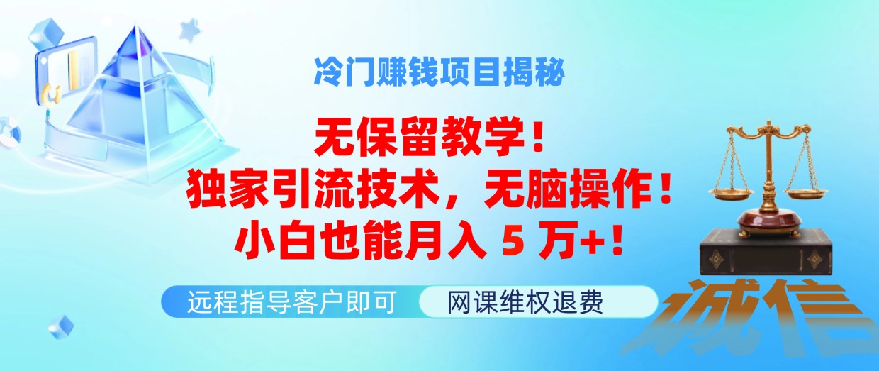 （11864期）冷门赚钱项目无保留教学！独家引流技术，无脑操作！小白也能月入5万+！-网创资源总站