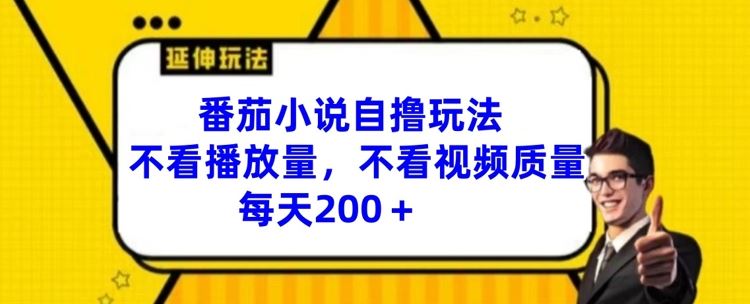 番茄小说自撸玩法，不看播放量，不看视频质量，每天200+【揭秘】-网创资源总站
