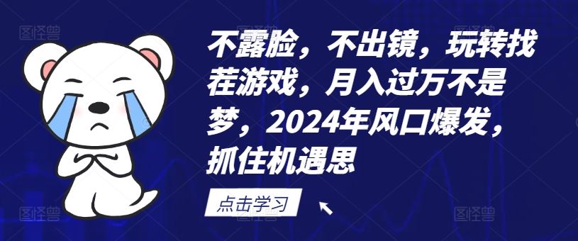 不露脸，不出镜，玩转找茬游戏，月入过万不是梦，2024年风口爆发，抓住机遇【揭秘】-网创资源总站
